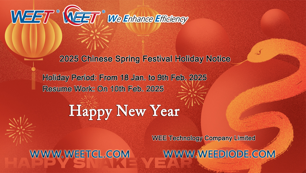 WEET-2025-Chinese-Holiday-Notice-Year-of-the-Snake-Best-Diodes-and-Rectifiers -Factory-In-China.jpg